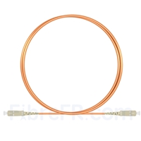 1m SC UPC vers SC UPC Simplex 2,0mm PVC (OFNR) OM1 Jarretière Optique Multimode