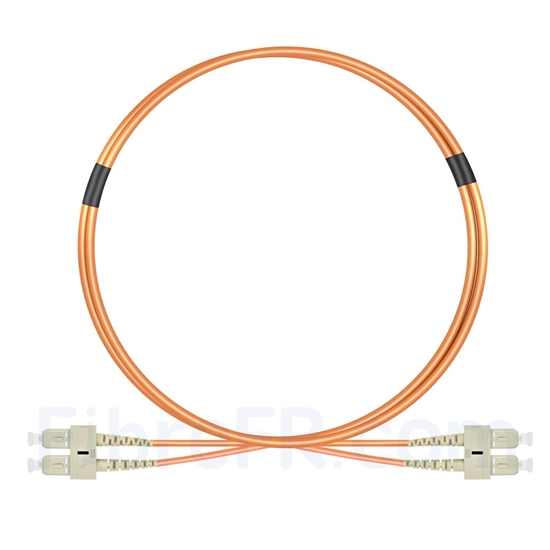 Image de 1m SC UPC vers SC UPC Duplex 2,0mm PVC (OFNR) OM1 Jarretière Optique Multimode