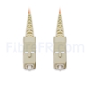 Image de 5m SC UPC vers SC UPC Simplex 2,0mm PVC (OFNR) OM1 Jarretière Optique Multimode