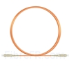 Image de 3m SC UPC vers SC UPC Simplex 2,0mm PVC (OFNR) OM1 Jarretière Optique Multimode