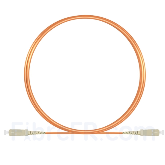 Image de 3m SC UPC vers SC UPC Simplex 2,0mm PVC (OFNR) OM1 Jarretière Optique Multimode