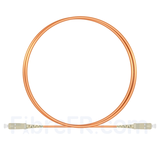Image de 2m SC UPC vers SC UPC Simplex 2,0mm PVC (OFNR) OM1 Jarretière Optique Multimode