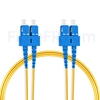 Image de 5m SC UPC vers SC UPC Duplex 2,0mm OFNP OS2 Jarretière Optique Monomode