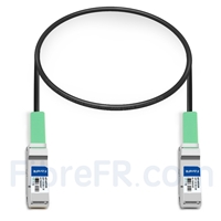 0,5m Intel XLDACBL05 Compatible Câble à Attache Directe en Cuivre Passif 40G QSFP+