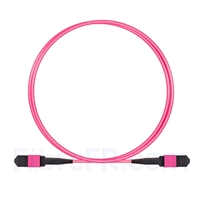 Image de 1m Senko MPO Femelle 12 Fibres OM4 (OM3) 50/125 Câble Trunk Multimode, Type B, Élite, LSZH, Magenta