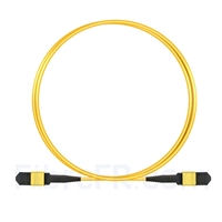 1m Senko MPO Femelle 12 Fibres OS2 9/125 Câble Trunk Monomode, Type B, Élite, LSZH, Jaune