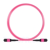 Image de 3m Senko MPO Femelle 12 Fibres OM4 (OM3) 50/125 Câble Trunk Multimode, Type B, Élite, LSZH, Magenta