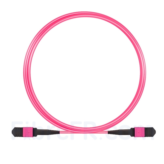 Image de 3m Senko MPO Femelle 12 Fibres OM4 (OM3) 50/125 Câble Trunk Multimode, Type B, Élite, LSZH, Magenta
