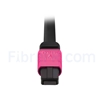 Image de 3m Senko MPO Femelle 12 Fibres OM4 (OM3) 50/125 Câble Trunk Multimode, Type B, Élite, LSZH, Magenta