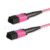 Image de 3m Senko MPO Femelle 12 Fibres OM4 (OM3) 50/125 Câble Trunk Multimode, Type B, Élite, LSZH, Magenta