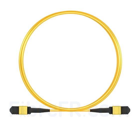 Image de 3m Senko MPO Femelle 12 Fibres OS2 9/125 Câble Trunk Monomode, Type B, Élite, LSZH, Jaune