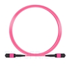 Image de 5m Senko MPO Femelle 12 Fibres OM4 (OM3) 50/125 Câble Trunk Multimode, Type B, Élite, LSZH, Magenta