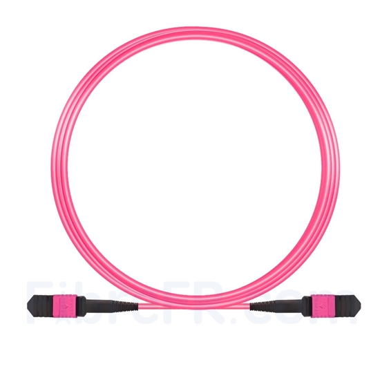 Image de 5m Senko MPO Femelle 12 Fibres OM4 (OM3) 50/125 Câble Trunk Multimode, Type B, Élite, LSZH, Magenta