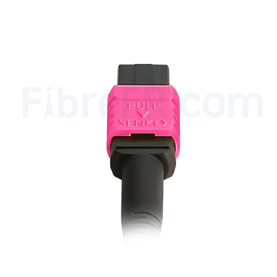 Câble Fibre Optique MPO Femelle à MPO Femelle, OM3 50/125um, 8 Fibres, Type B, 10m - Pour Data Centers 40G/100G