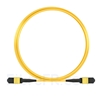 Image de 5m Senko MPO Femelle 12 Fibres OS2 9/125 Câble Trunk Monomode, Type A, Élite, LSZH, Jaune