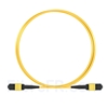 Image de 2m Senko MPO Femelle 12 Fibres OS2 9/125 Câble Trunk Monomode, Type B, Élite, LSZH, Jaune