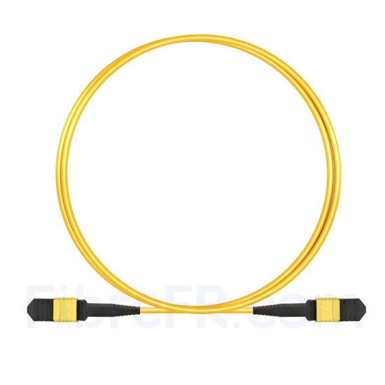 Image de 2m Senko MPO Femelle 12 Fibres OS2 9/125 Câble Trunk Monomode, Type B, Élite, LSZH, Jaune