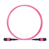 Image de 2m Senko MPO Femelle 12 Fibres OM4 (OM3) 50/125 Câble Trunk Multimode, Type B, Élite, LSZH, Magenta