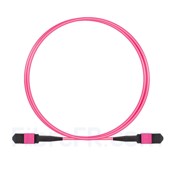 Image de 2m Senko MPO Femelle 12 Fibres OM4 (OM3) 50/125 Câble Trunk Multimode, Type B, Élite, LSZH, Magenta