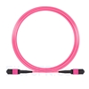 Image de 10m Senko MPO Femelle 12 Fibres OM4 (OM3) 50/125 Câble Trunk Multimode, Type A, Élite, LSZH, Magenta