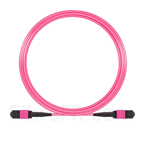 Image de 10m Senko MPO Femelle 12 Fibres OM4 (OM3) 50/125 Câble Trunk Multimode, Type A, Élite, LSZH, Magenta