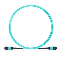 Image de 1m MPO Femelle 12 Fibres OM3 50/125 Câble Trunk Multimode, Type B, Élite, LSZH, Aqua