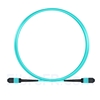 Image de 3m MPO Femelle 12 Fibres OM3 50/125 Câble Trunk Multimode, Type B, Élite, LSZH, Aqua