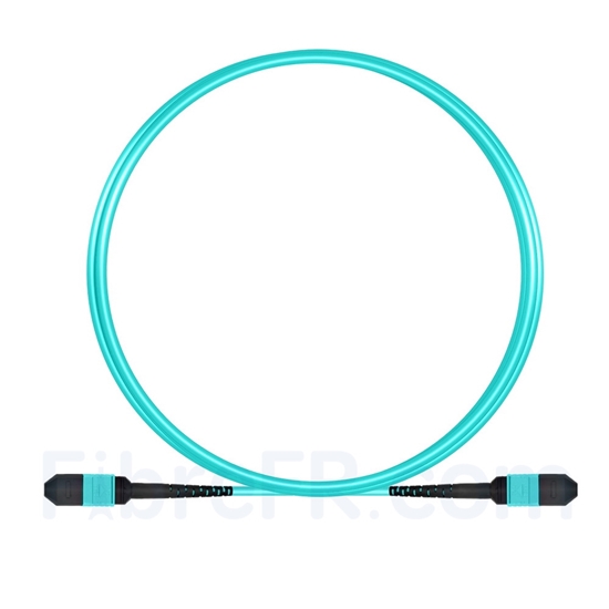 Image de 3m MPO Femelle 12 Fibres OM3 50/125 Câble Trunk Multimode, Type B, Élite, LSZH, Aqua