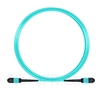 Image de 5m MPO Femelle 12 Fibres OM3 50/125 Câble Trunk Multimode, Type B, Élite, LSZH, Aqua