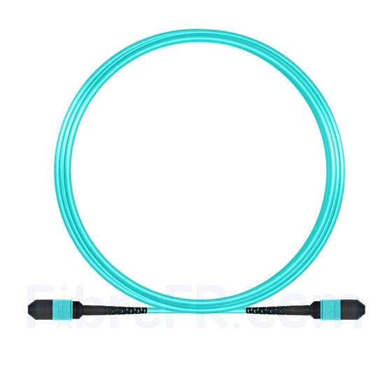 Image de 5m MPO Femelle 12 Fibres OM3 50/125 Câble Trunk Multimode, Type B, Élite, LSZH, Aqua