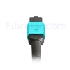 Image de 5m MPO Femelle 12 Fibres OM3 50/125 Câble Trunk Multimode, Type B, Élite, LSZH, Aqua