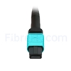 Image de 5m MPO Femelle 12 Fibres OM3 50/125 Câble Trunk Multimode, Type B, Élite, LSZH, Aqua