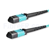 Image de 5m MPO Femelle 12 Fibres OM3 50/125 Câble Trunk Multimode, Type B, Élite, LSZH, Aqua