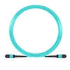 Image de 10m MPO Femelle 12 Fibres OM3 50/125 Câble Trunk Multimode, Type B, Élite, LSZH, Aqua