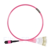Image de 1m Senko MPO Femelle vers 4 LC UPC Duplex 8 Fibres OM4 (OM3) 50/125 Câble Breakout Multimode, Type B, Élite, LSZH, Magenta
