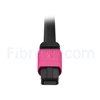 Image de 1m Senko MPO Femelle vers 4 LC UPC Duplex 8 Fibres OM4 (OM3) 50/125 Câble Breakout Multimode, Type B, Élite, LSZH, Magenta