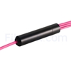 Image de 2m Senko MPO Femelle vers 4 LC UPC Duplex 8 Fibres OM4 (OM3) 50/125 Câble Breakout Multimode, Type B, Élite, LSZH, Magenta