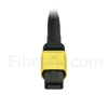 Image de 1m MPO Femelle vers 4 LC UPC Duplex 8 Fibres OS2 9/125 Câble Breakout Monomode, Type B, Élite, LSZH, Jaune