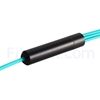 Image de 2m MPO Femelle vers 4 LC UPC Duplex 8 Fibres OM3 50/125 Câble Breakout Multimode, Type B, Élite, LSZH, Aqua