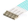 Image de 5m MPO Femelle vers 4 LC UPC Duplex 8 Fibres OM3 50/125 Câble Breakout Multimode, Type B, Élite, LSZH, Aqua