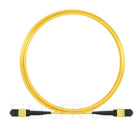 Image de 7m MTP Câble Trunk Mâle 12 Fibres OS2 9/125 Monomode, Type A, Élite, LSZH, Jaune