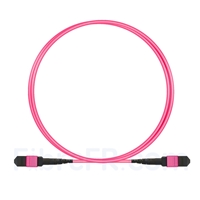 Image de 2m MTP Câble Trunk Femelle 12 Fibres OM4 (OM3) 50/125 Multimode, Type B, Élite, LSZH, Magenta