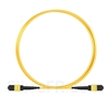 Image de 1m MTP-MTP Câble Femelle 12 Fibres OS2 9/125 Monomode, Type B, Élite, Plénum (OFNP), Jaune