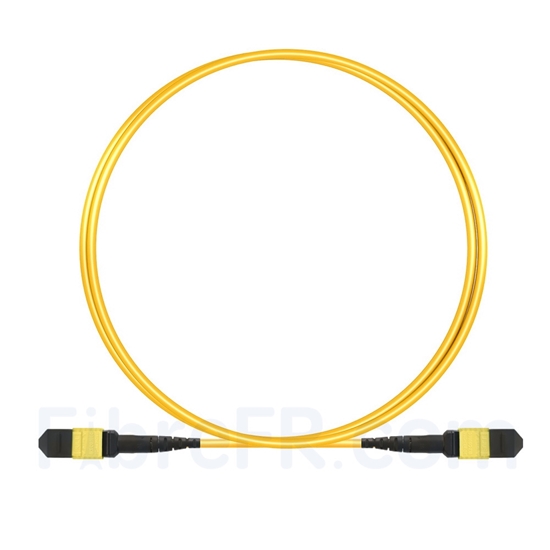 Image de 1m MTP-MTP Câble Femelle 12 Fibres OS2 9/125 Monomode, Type B, Élite, Plénum (OFNP), Jaune