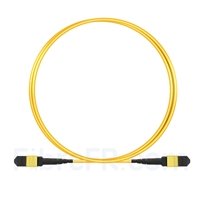 1m MTP-MTP Câble Femelle 12 Fibres OS2 9/125 Monomode, Type B, Élite, Plénum (OFNP), Jaune