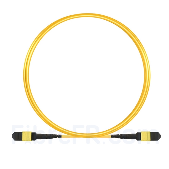 Image de 3m MTP-MTP Câble Femelle 12 Fibres OS2 9/125 Monomode, Type B, Élite, Plénum (OFNP), Jaune