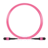 Image de 5m MTP-MTP Câble Femelle 24 Fibres OM4 (OM3) 50/125 Multimode, 100GBASE-SR10 CXP/CFP/CPAK, Type A (TIA-568), Élite, Plénum (LSZH), Magenta