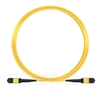 Image de 10m MTP-MTP Câble Femelle 12 Fibres OS2 9/125 Monomode, Type A, Plénum (LSZH), Élite, Jaune