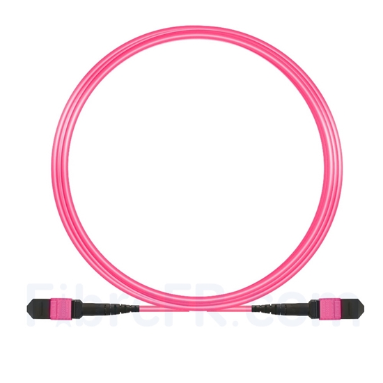 Image de 5m MTP-MTP Câble Femelle 12 Fibres OM4 (OM3) 50/125 Multimode, Type A, Élite, Plénum (OFNP), Magenta