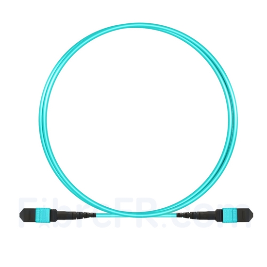 Image de 1m MTP-MTP Câble Femelle 12 Fibres OM3 50/125 Multimode, Type A, Élite, Plénum (OFNP), Aqua
